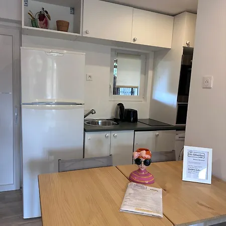 Appartement Les Olivettes D'uzes à Sainte Eulalie